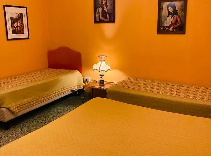 Bruno 住宿加早餐酒店 科森扎